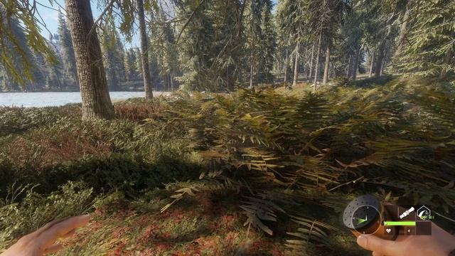 theHunter Call of the Wild #12 ? - Охота с Арбалетом + БРИЛЛИАНТ - ГАЙД для Начинающих смотреть онлайн
