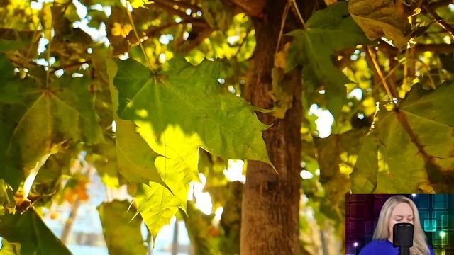 Прощаясь со свекровью, Наташа случайно подслушала разговор соседок. И оцепенела, узнав про мужа...