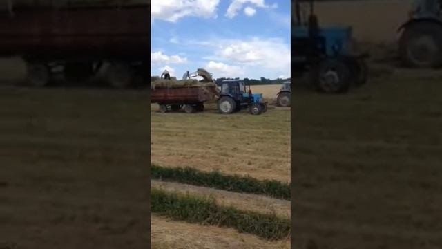 18 октября 2016 г. смотреть онлайн