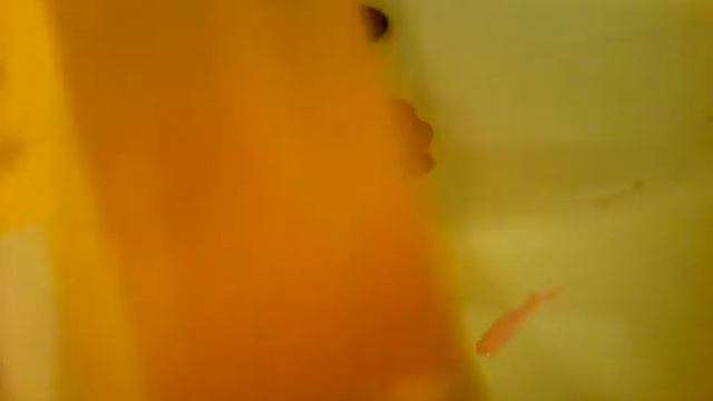 Лизун в домашних условиях смотреть онлайн