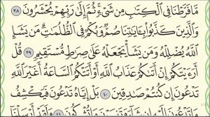 Урок № 44. Красивое чтение суры "аль-Ан'ам", аяты 28-52. #АрабиЯ #Коран #Нарзулло #ArabiYA