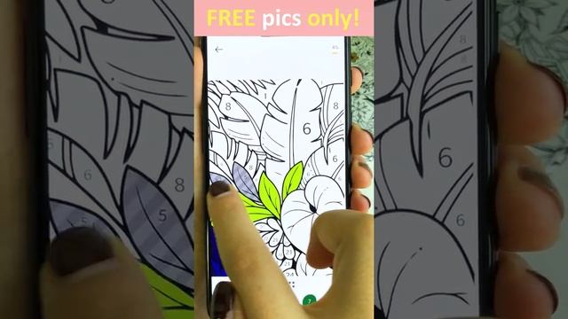 No.paint Review | Colors by number game | iOS & Google play app смотреть онлайн