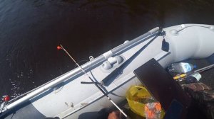 Рыбалка на кольцо на р.Ветлуга, язь на мормышку и кукурузу. Подлысье.