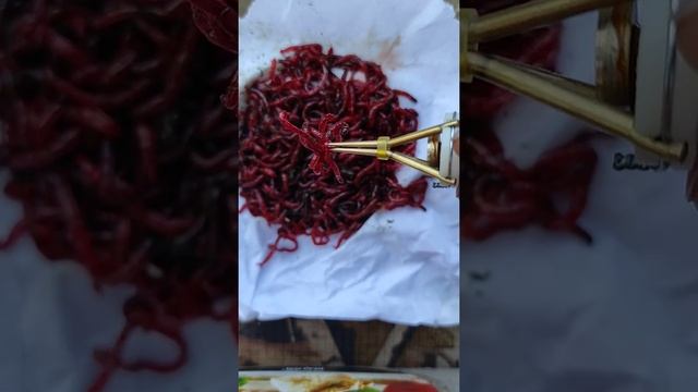 Пучковяз для мотыля, супер штука из Китая! смотреть онлайн