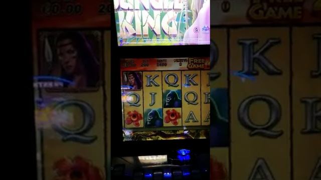 JUNGLE KING SLOT смотреть онлайн