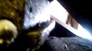 как установить двигатель от волги или уаз на газ69