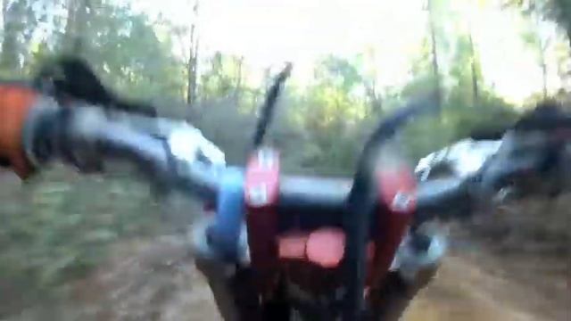 Monster Mountain 1-1-12