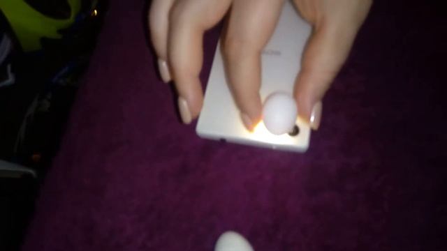 Разведение корелл в квартире: просвечиваем яйца смотреть онлайн