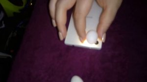 Разведение корелл в квартире: просвечиваем яйца