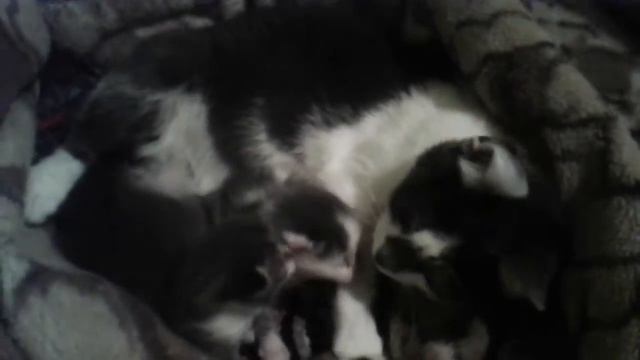 У НАС ПРОРЕЗАЛИСЬ ГЛАЗКИ!