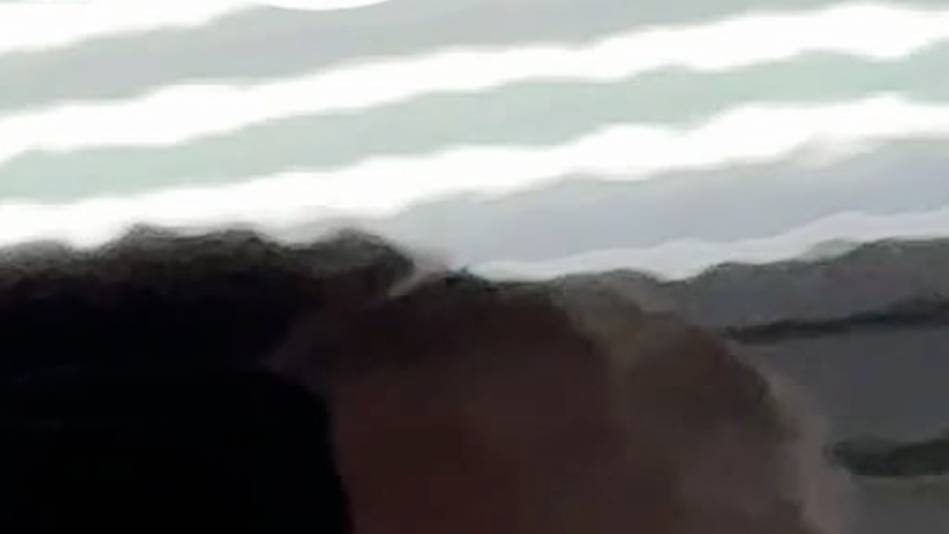 ОНБ автомалярный клуб