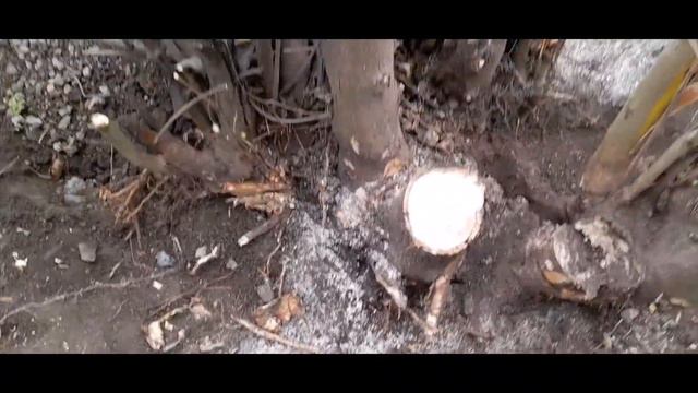 #ГАРАЖ МЕЧТЫ! ЧАСТЬ 1 Подготовка к строительству! смотреть онлайн