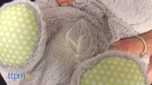 Soothe 'n Snuggle Koala Musical Plush from Fisher-Price Review