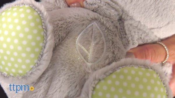 Soothe 'n Snuggle Koala Musical Plush from Fisher-Price Review