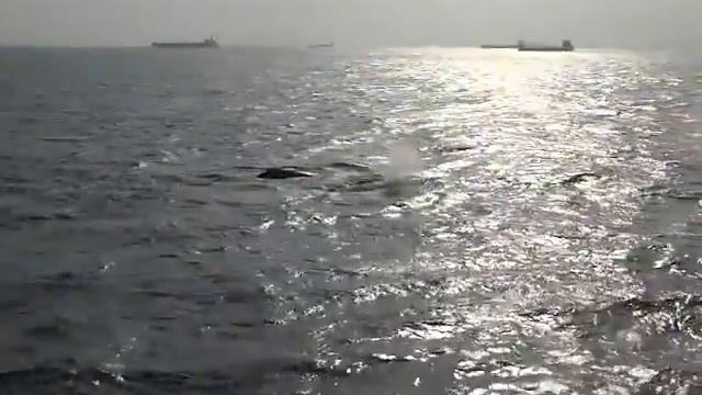 Нигерия. Лагос смотреть онлайн