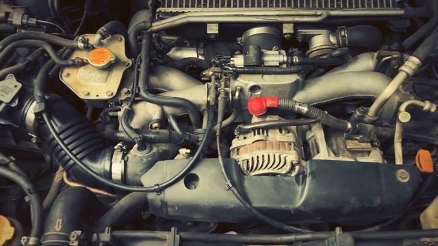 serviced on 265.000 km EJ20 engine of subaru forester 2.0 xt 2003 #ej20 #foresterxt#shellhelixultr смотреть онлайн