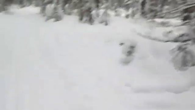 Прогулка на лыжах янв 2016г смотреть онлайн