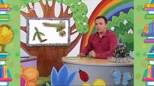 Школа Шишкиного Леса. Природоведение. Хвойные деревья