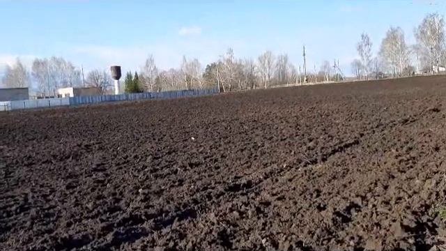 "ШИКУЕМ"-ЗАКАПЫВАЕМ ДЕНЬГИ!!))люцерна-затраты на 1ГА. САМИ В ШОКЕ смотреть онлайн
