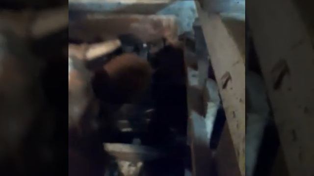 Отзыв о чугунной поилке для КРС на 2,5 л. Ничто не вечно, кроме поилки Melasty (Турция)! смотреть онлайн