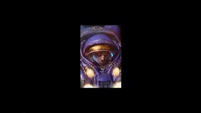 Beethoven virus Starcraft Remix con gifs смотреть онлайн