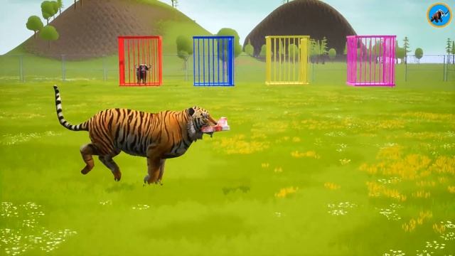 Cow Tiger Mammoth Elephant Bull Dinosaur Vs Scary Teacher Choose The Right Button Wild Animals  Gam
