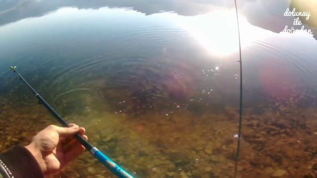 Barajda Yemli Balık Avı 1, Alabalık Avında Ziller Susmadı, Her Oltadan Balık Çektik смотреть онлайн