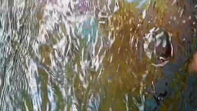 Pachamama Song (Ancestral Spirits’ songs) #méditation #spiritualité #432hz #shaman смотреть онлайн