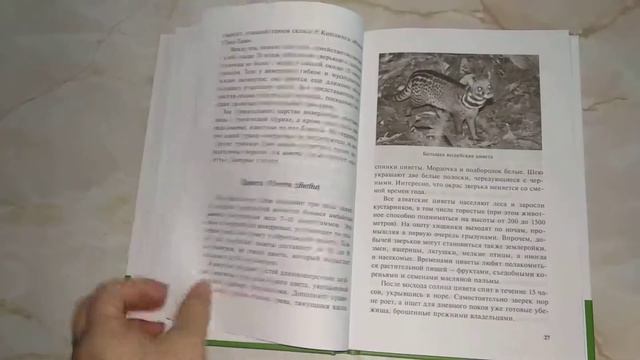 Книжный обзор - детская энциклопедия смотреть онлайн