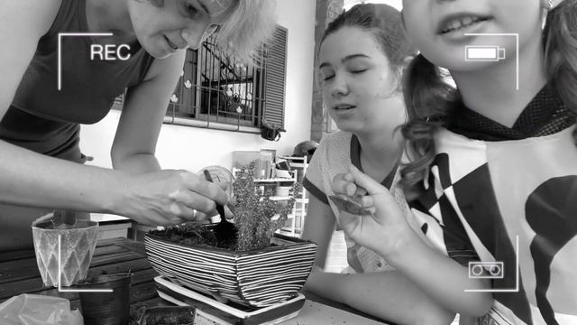 ДЕЛАЮ КРАСИВУЮ КОМПОЗИЦИЮ - ИКЕБАНА ИЗ КАКТУСОВ смотреть онлайн