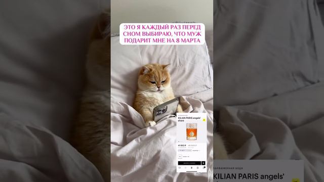 Самый желанный подарок