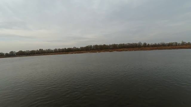 р. Припять от 03.11.2018. "ввалил таки трофейного судака)" смотреть онлайн