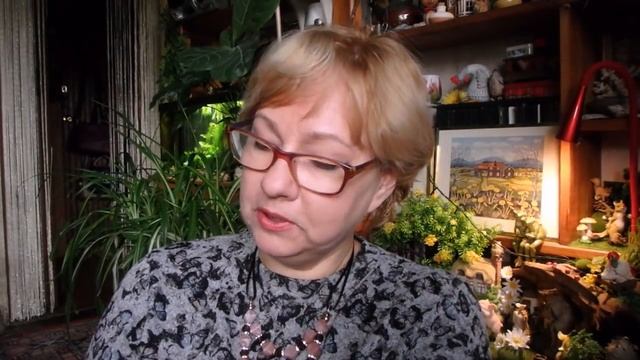 влог - цветочные темы и настроения)) смотреть онлайн