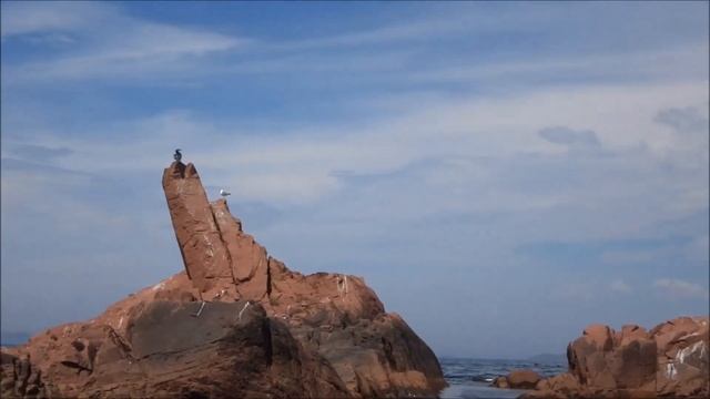 Нерпы на островах. Скалистые красные острова стали приютом для серебристых нерп.