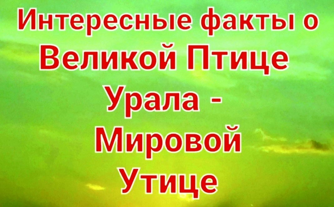 Интересные факты о Мировой Утице на Урале, Великой Птице Ригведы смотреть онлайн