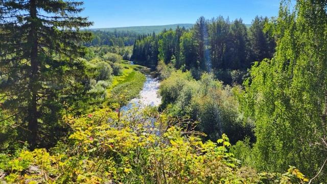 ♫. Людмила Зыкина - «Ивушка»,,1957, муз.Г.Пономаренко, слова В.Алфёров смотреть онлайн