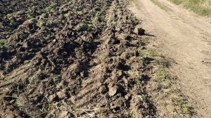 Регулировка плуга ПЛН 3-35, (разорвал навеску в хлам)...