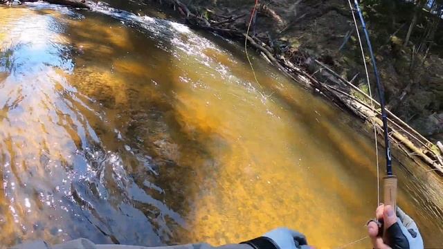 Flyfishing Нахлыст, Grayling. Хариус. рыбалка на маленьких реках.