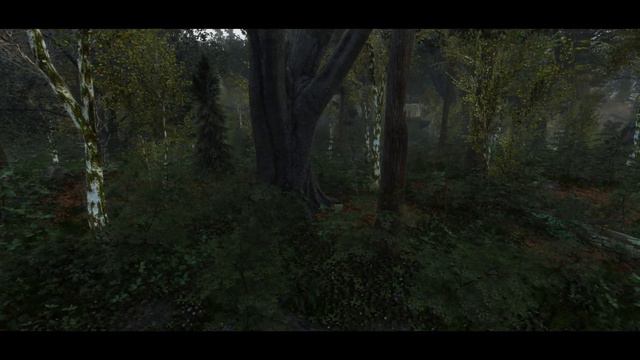 SkyrimSE | *New* Culminated ENB - Obsidian Preset | Blend of Color & Realism смотреть онлайн
