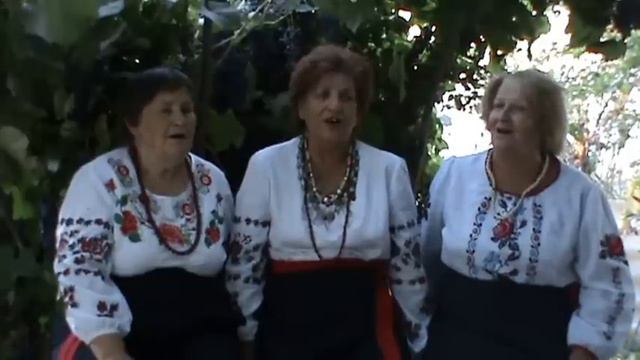 Мамина песня **Моя ти доле калинова** смотреть онлайн