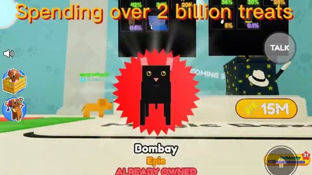 Hatching the best pet in the magic boxes. Roblox pet story. смотреть онлайн
