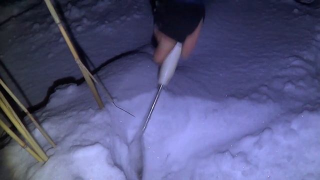 Как ловить Налима на закидушки (жерлицы) зимой, в январе феврале в глухозимье. Поставушки на налима смотреть онлайн