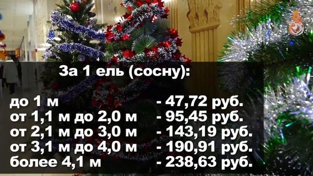 Новогодняя ель. Порубочные билеты от Свердловского лесничества смотреть онлайн