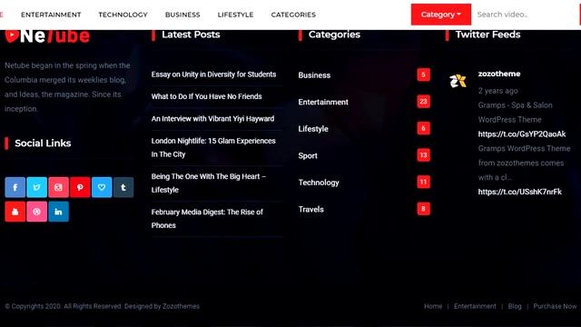Netube - Viral Video Blog / Magazine WordPress Theme (Demo-2) смотреть онлайн