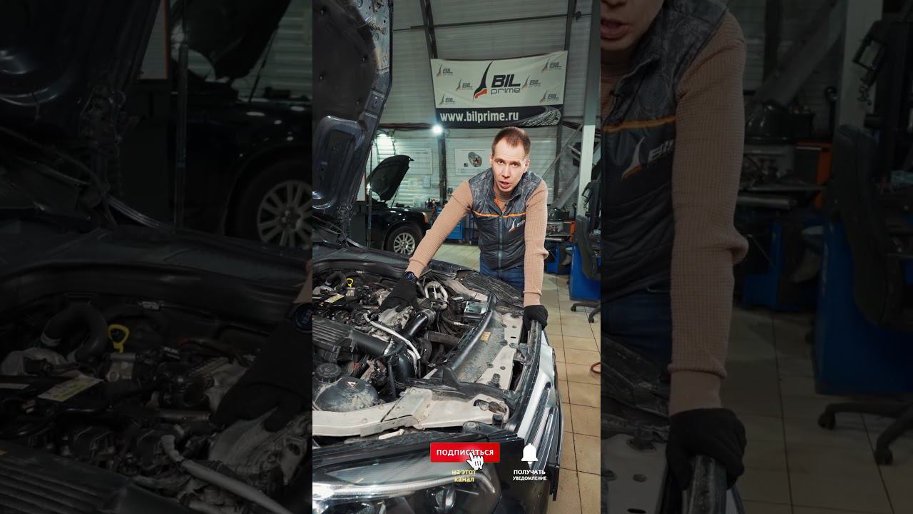 Проверка для подписчиков смотреть онлайн