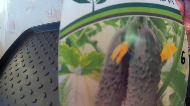 ОБЗОР 15 ПРОВЕРЕННЫХ ГИБРИДОВ ОГУРЦОВ! смотреть онлайн