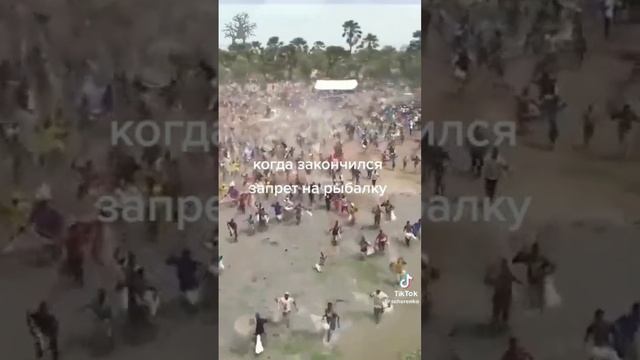 Когда закончился запрет на рыбалку. смотреть онлайн