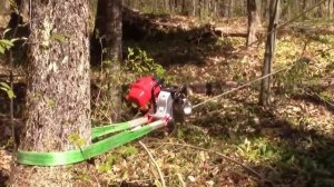 Бензиновая лебедка PCW4000 в лесном хозяйстве