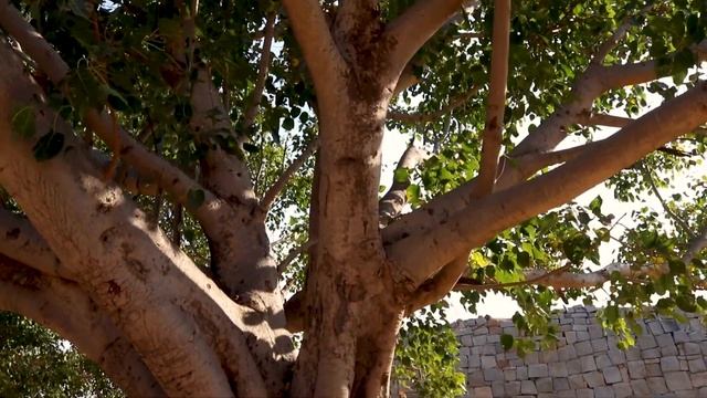 Hampi - UNESCO. ХАМПИ  ИНДИЯ.