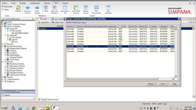 Commvault 심파나 V10 ORACLE SNAP Revert смотреть онлайн